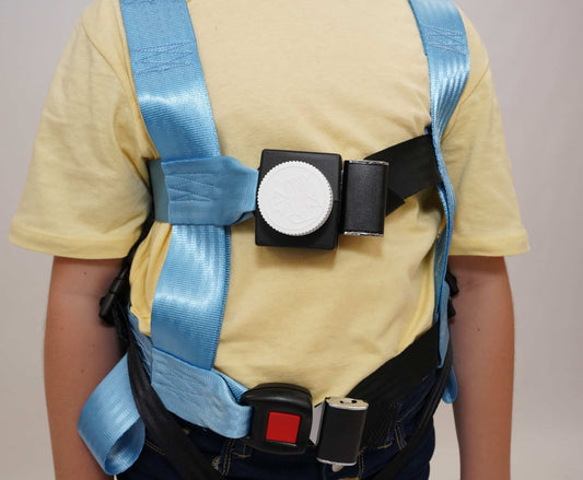 Safety Belt Buckle Guard