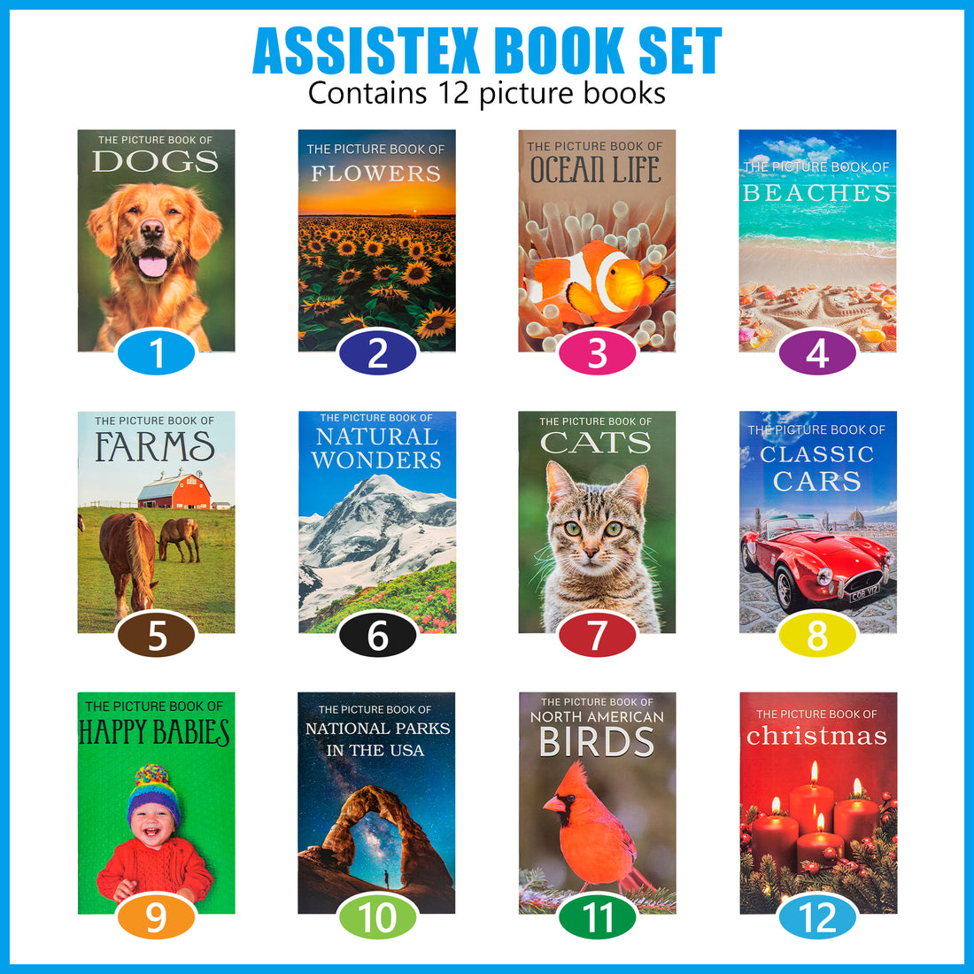 Picture Book Set for Seniors with Dementia (Set of 12)