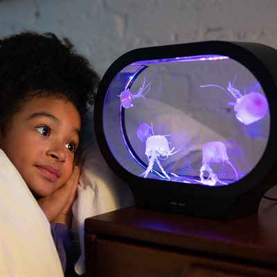 Oval Jellyfish Lamp