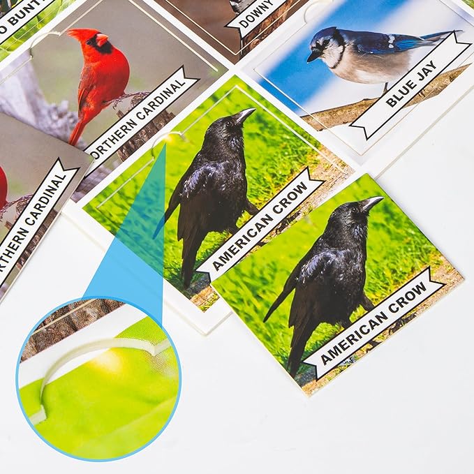 Photographic Matching Game