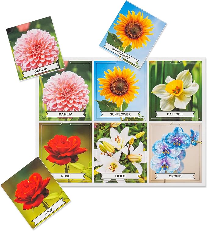 Photographic Matching Game