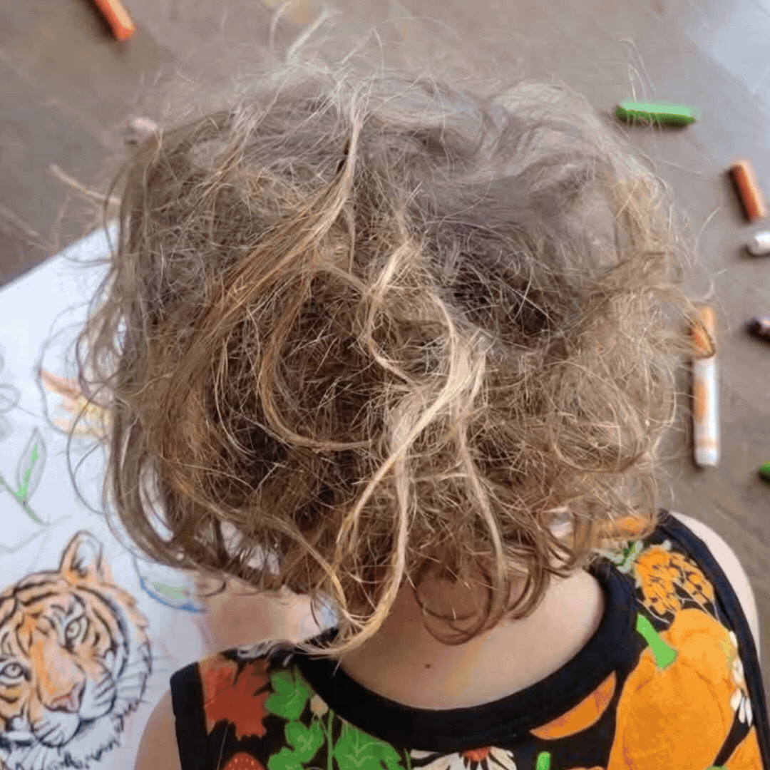 Knot Your Typical Wet/Dry Detangling Hairbrush