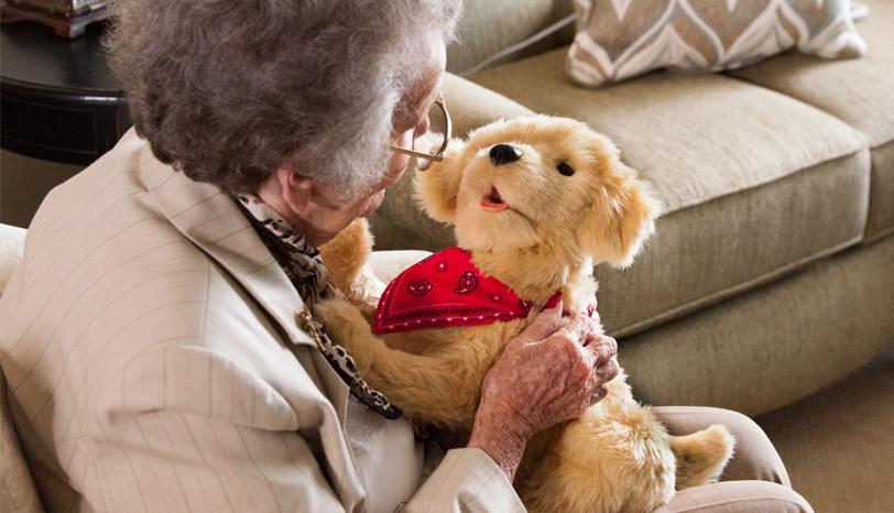 Joy For All Companion Pets