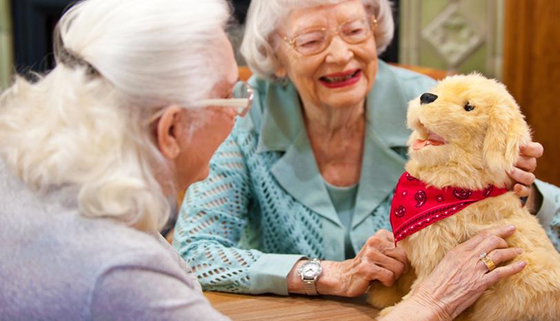 Joy For All Companion Pets