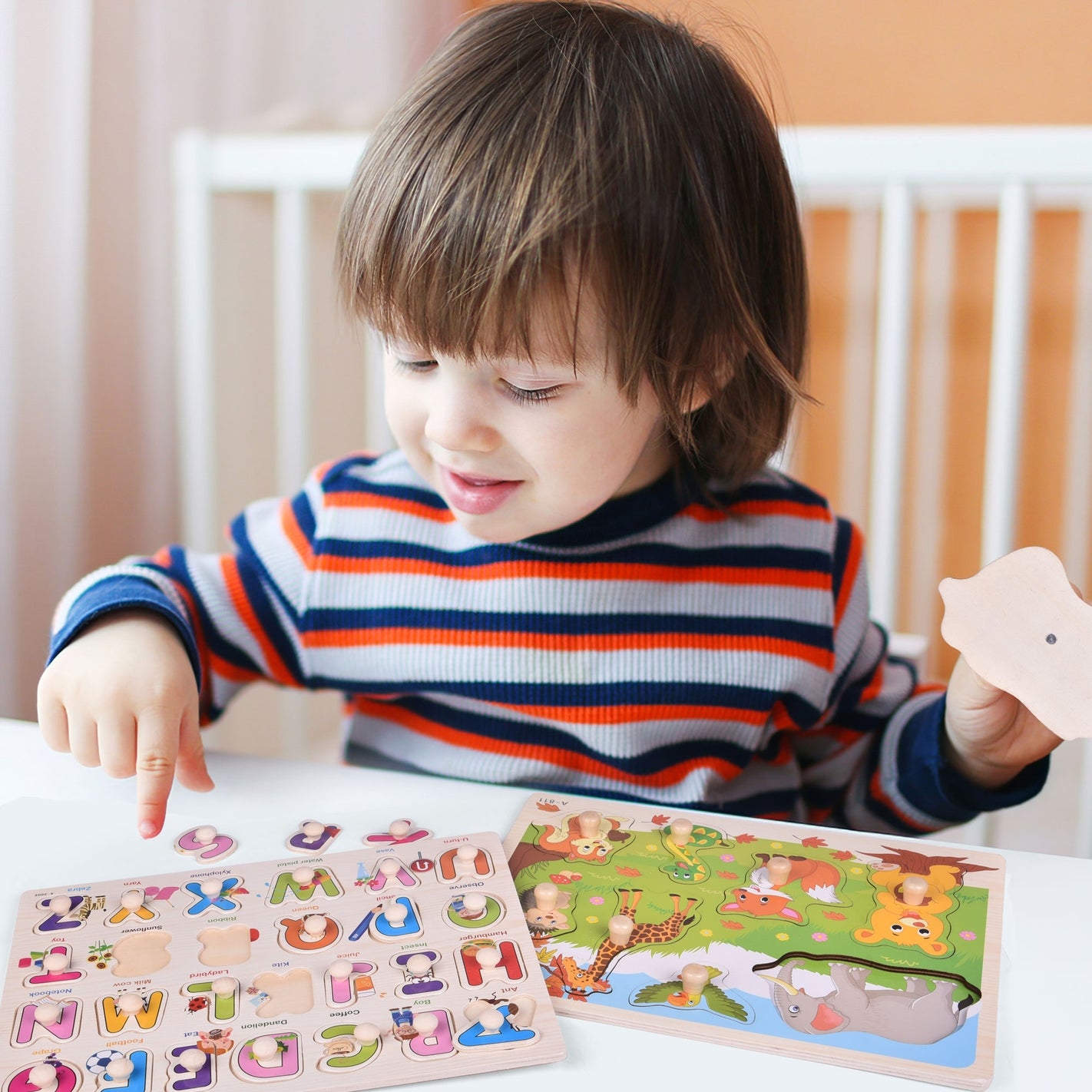 5 Pack of Wooden Peg Puzzles