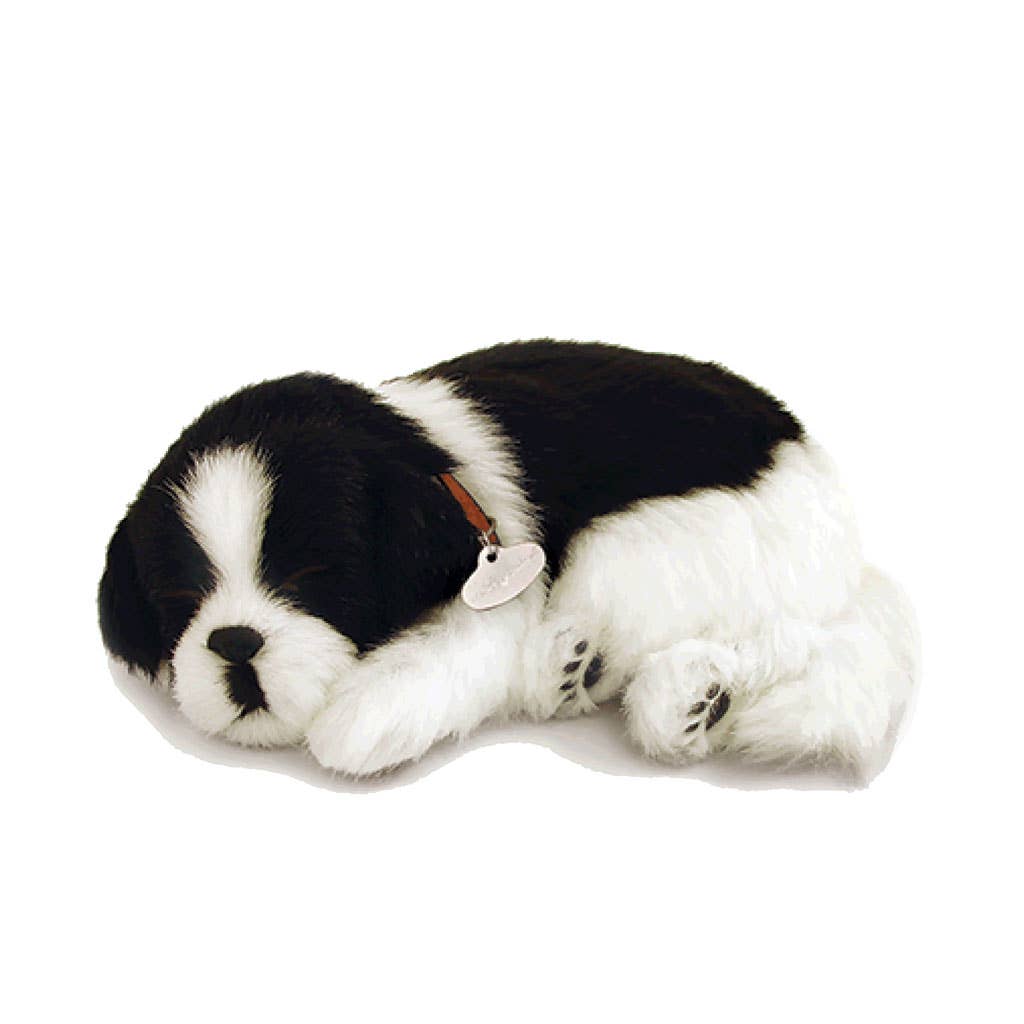 Perfect Petzzz