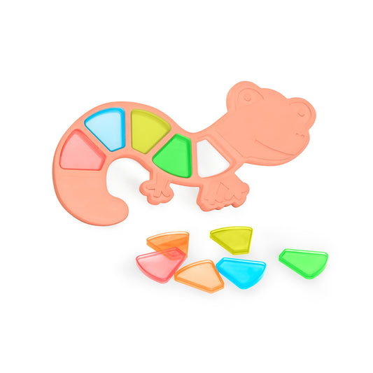 Feel to Learn: Colorful Translucent Lizard