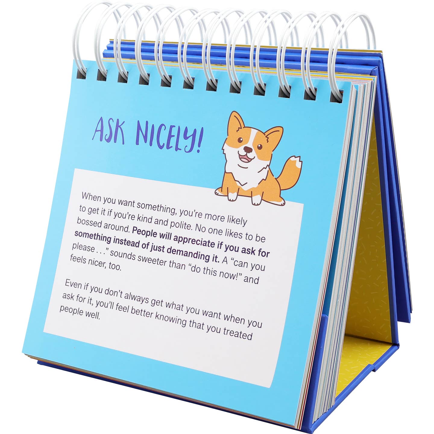 Everday Manners and Social Skills Flip Book