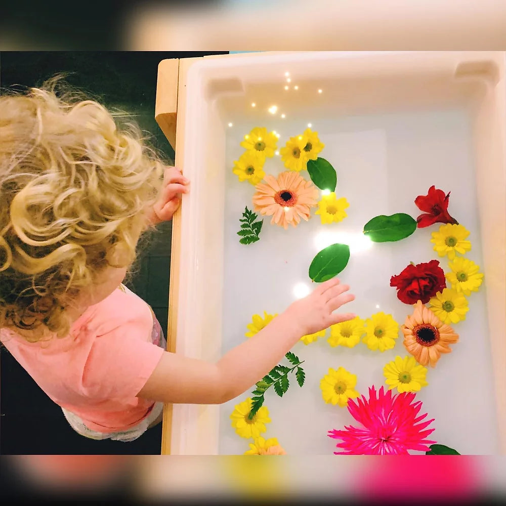 Light Table/Sensory Table 2 in 1