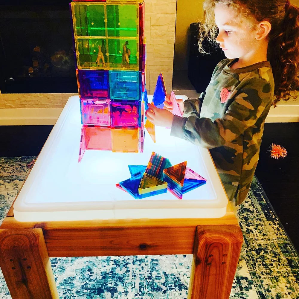 Light Table/Sensory Table 2 in 1