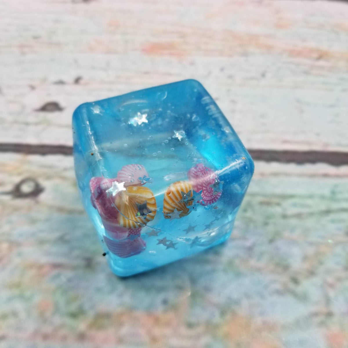 Ocean Shells Ice cube Squish