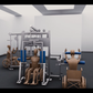 Equalizer Studio Gym