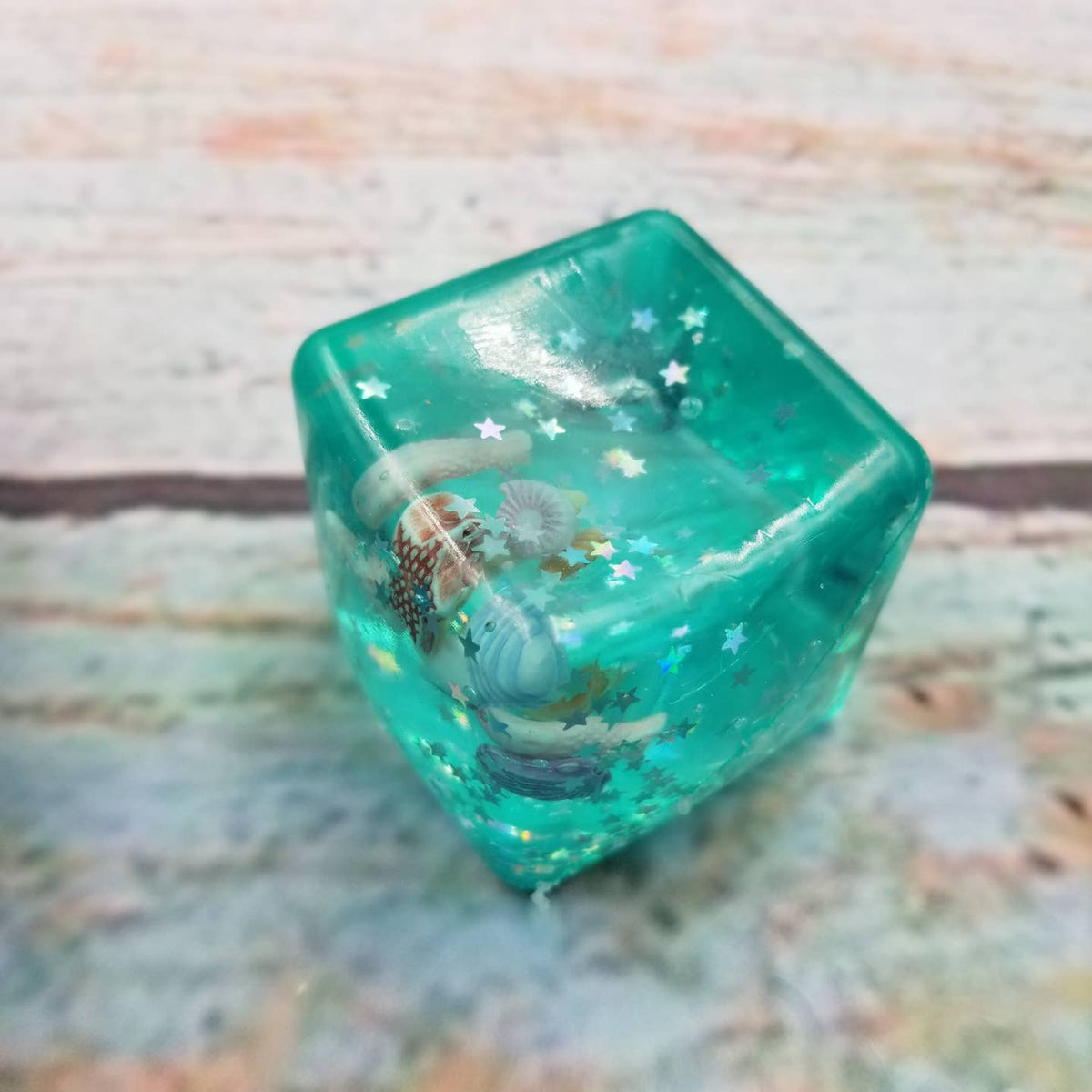 Ocean Shells Ice cube Squish
