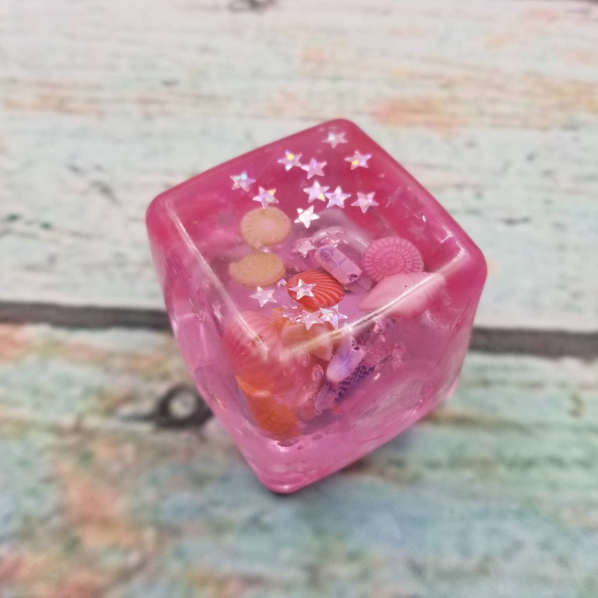 Ocean Shells Ice cube Squish