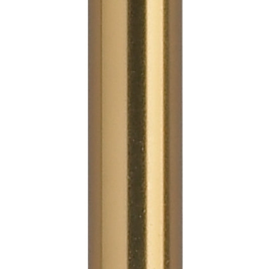 Folding Cane