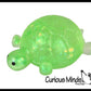 Sugar Turtle