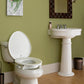Bemis Raised Toilet Seat - Elongated Toilet