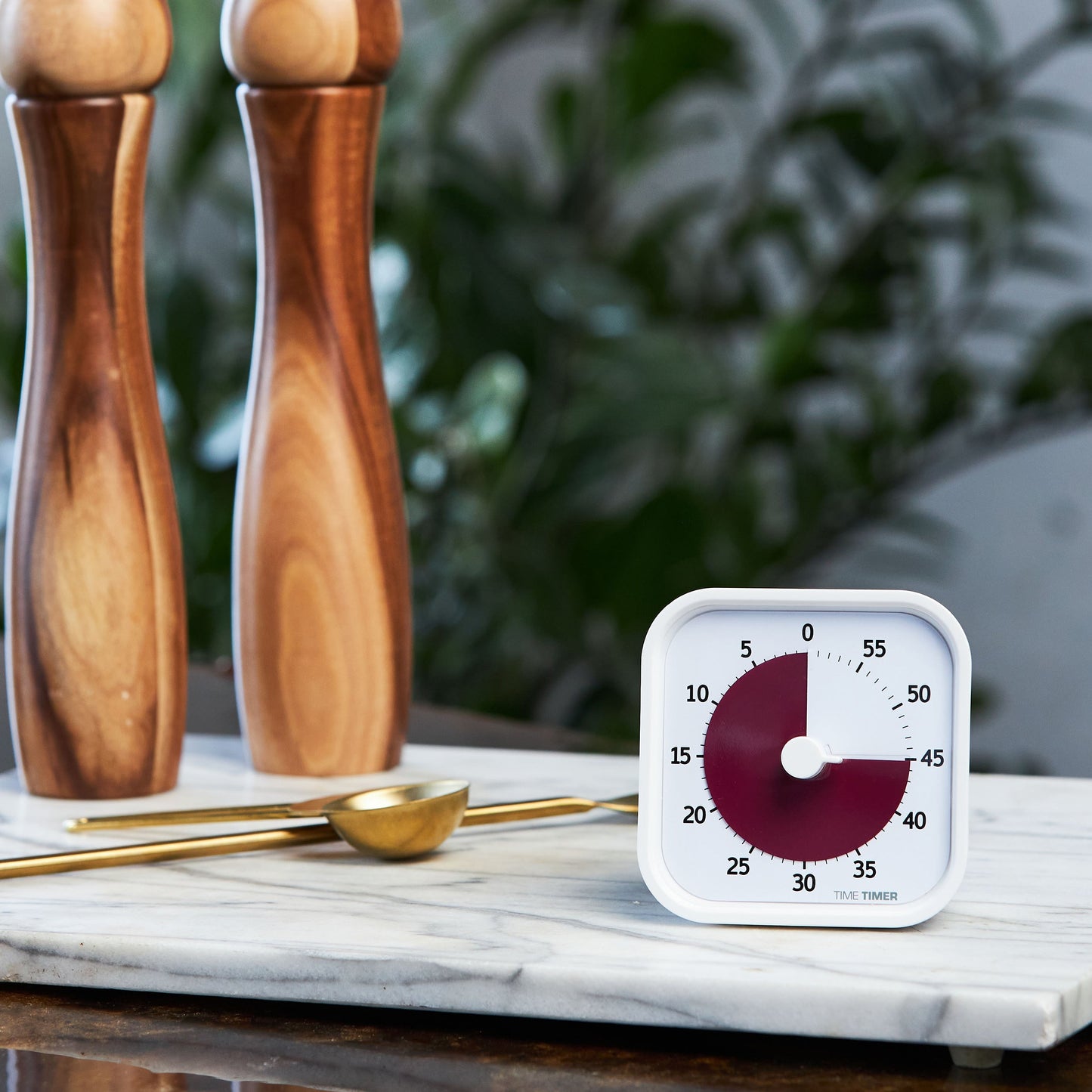 Time Timer MOD Home Edition