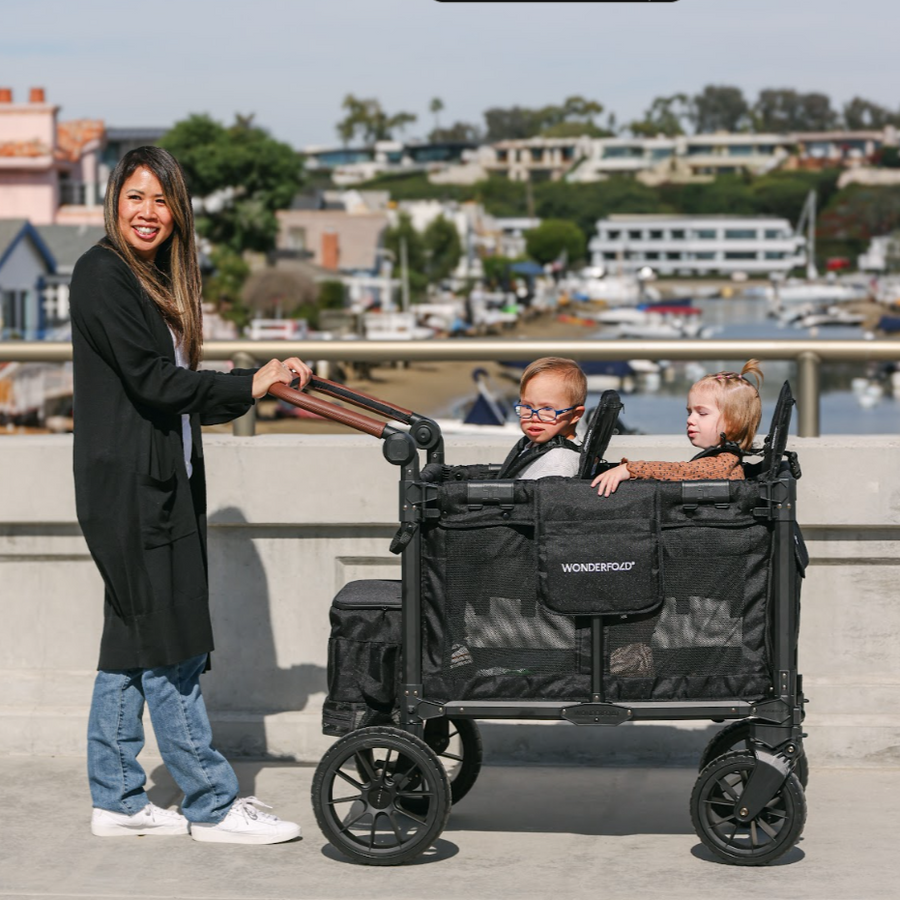 Wonderfold Wagon W2 Luxe Pro Double Stroller with 5 Point Harness