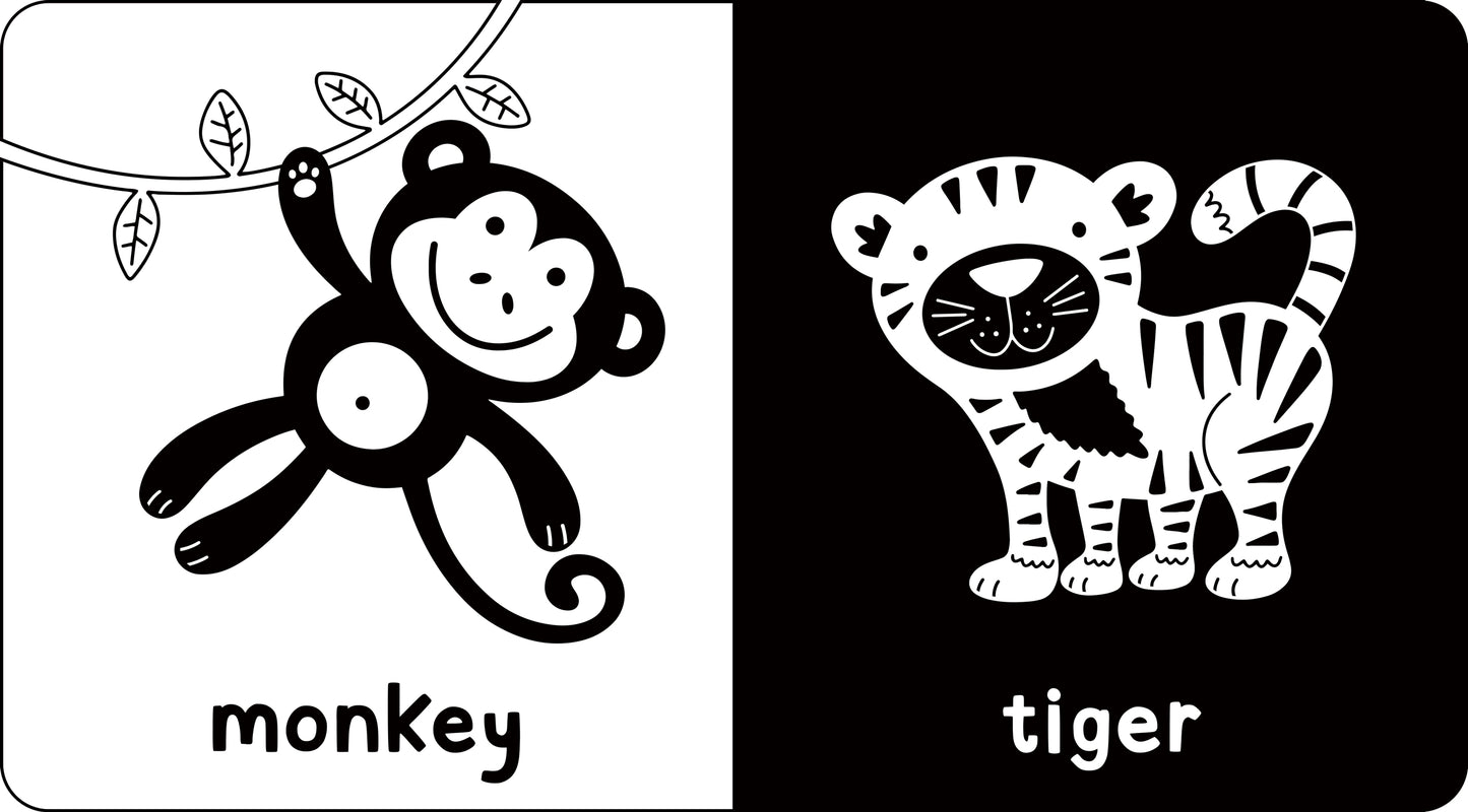 Black and White High Contrast Board Book Library
