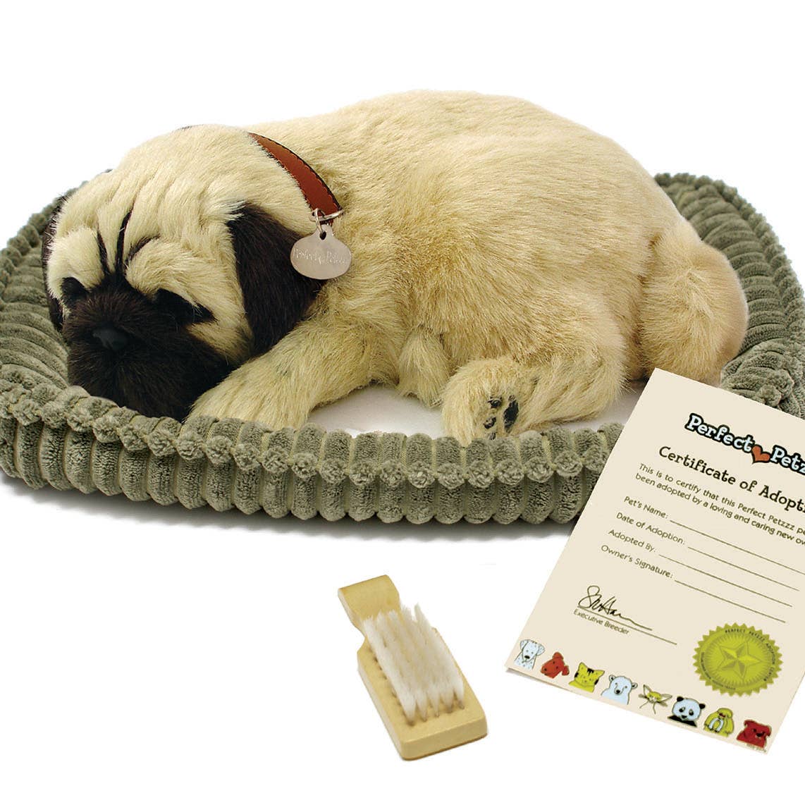 Precious petzzz hot sale pug