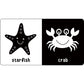 Black and White High Contrast Board Book Library