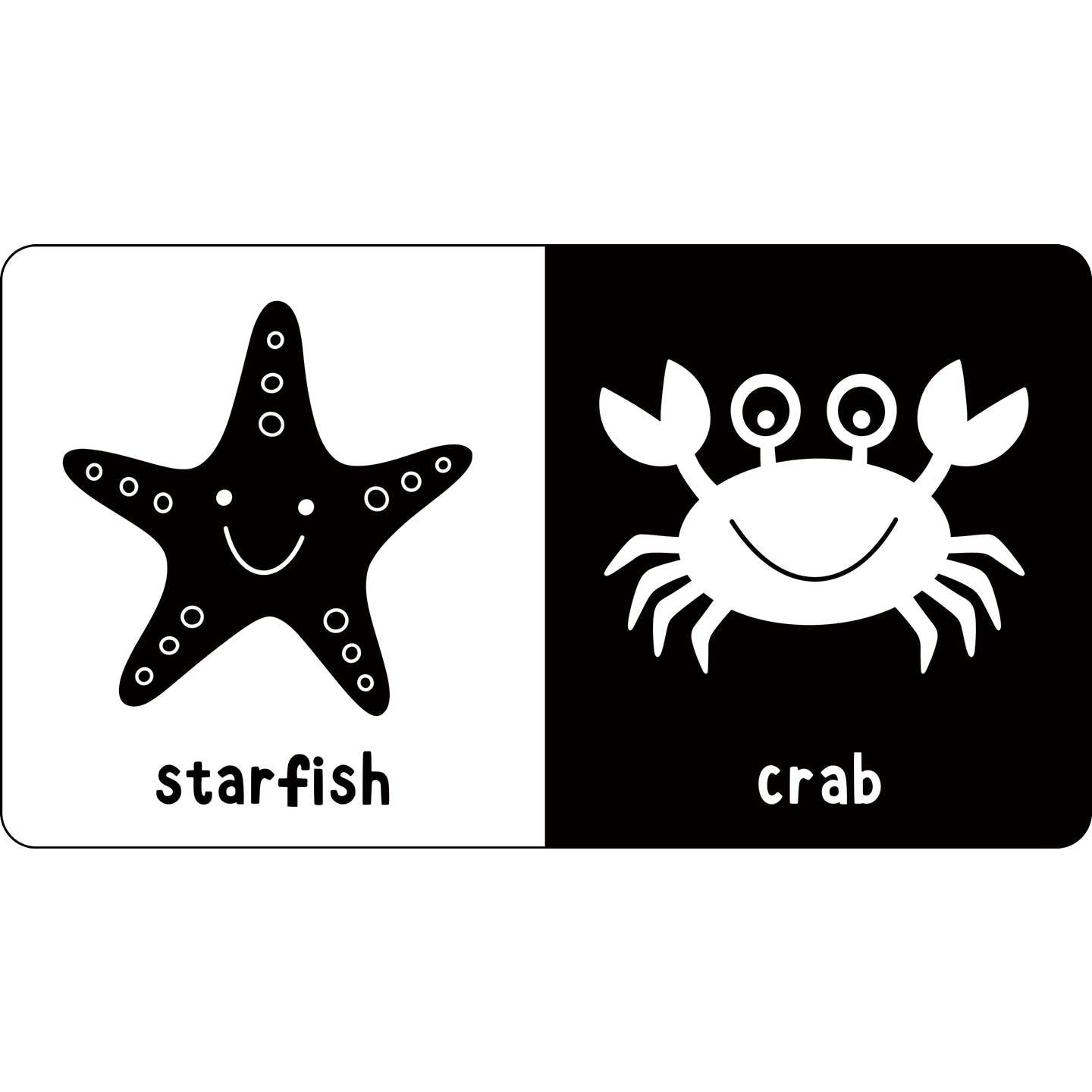 Black and White High Contrast Board Book Library
