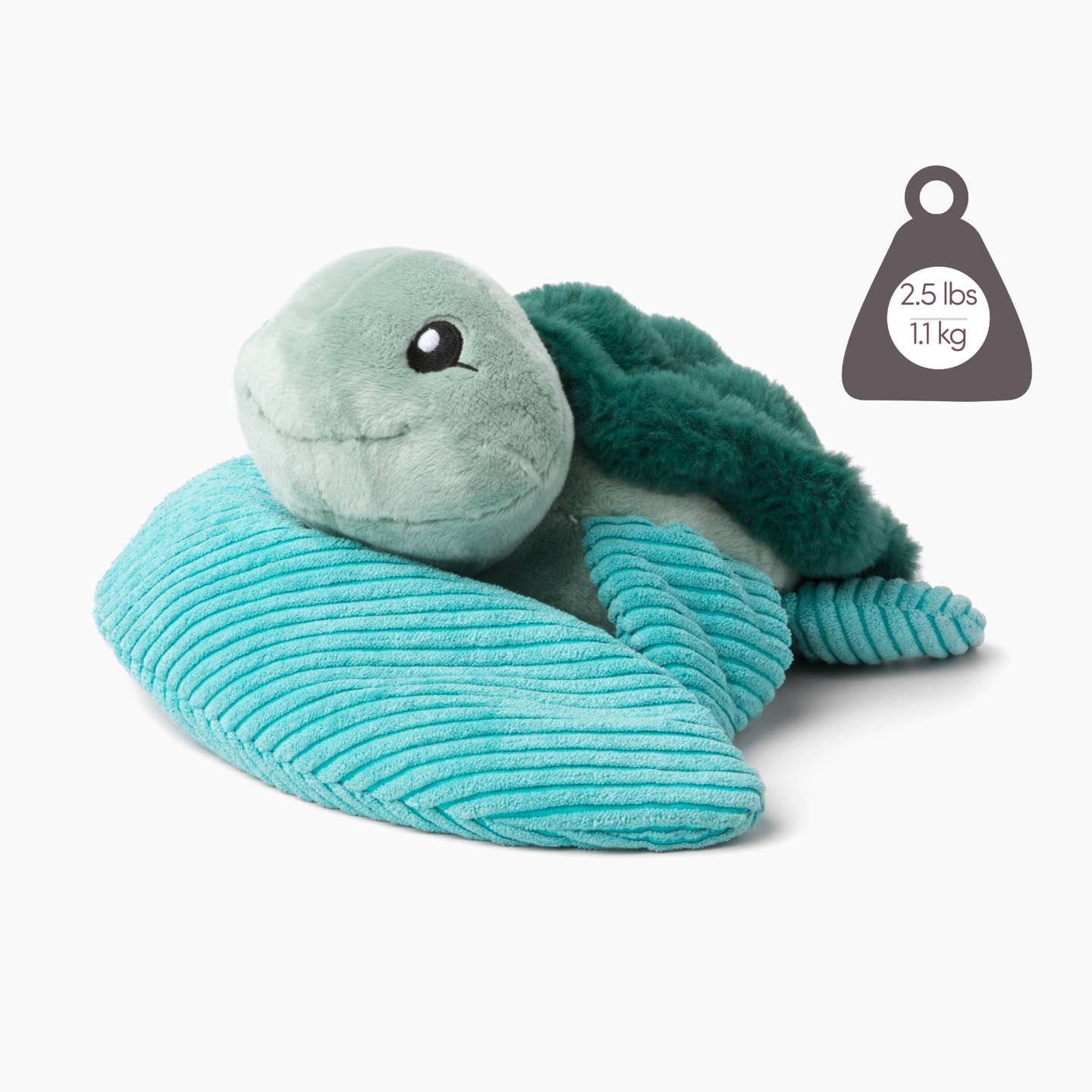 Hugarounds Weighted Turtle