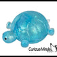Sugar Turtle