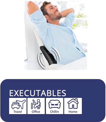 Executables Soothing Vibrating Pillow