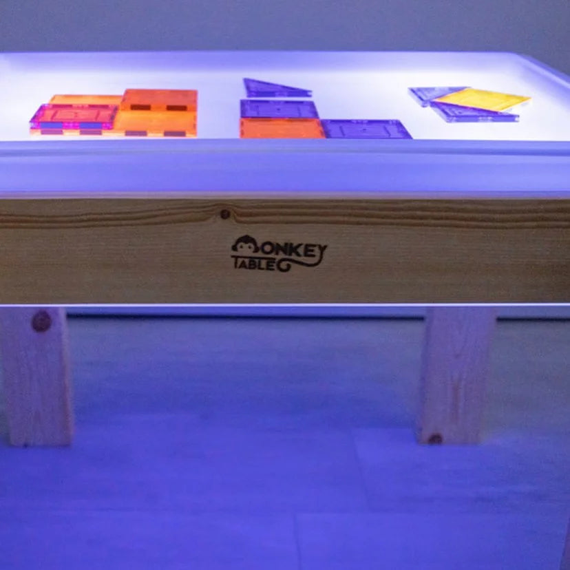 Light Table/Sensory Table 2 in 1